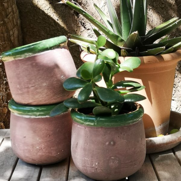 Plant Pot Rustico - Verde