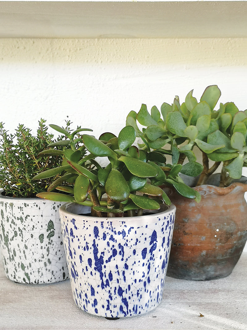 Plant Pot - Splash Azur