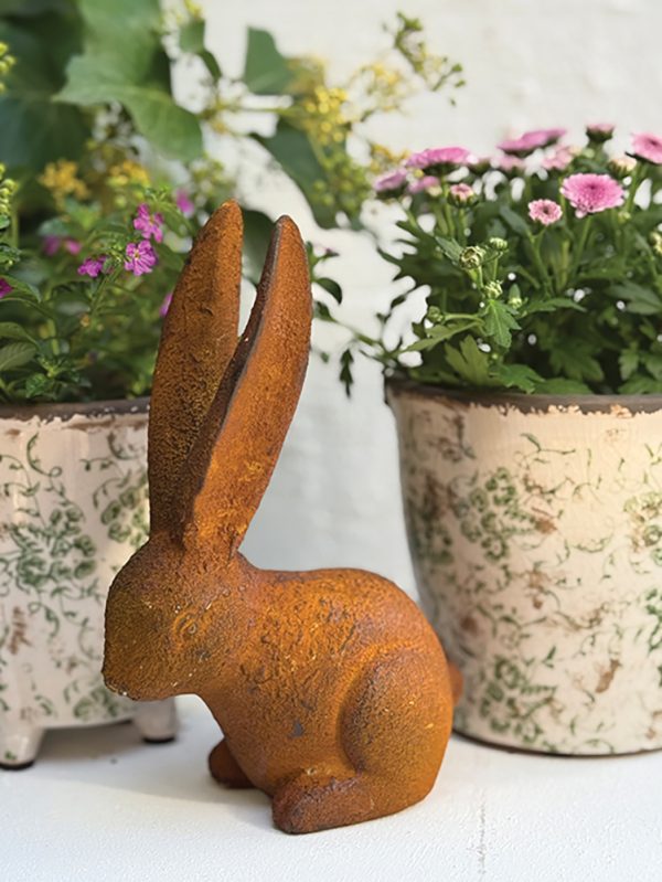 Pepe - The Rusty Hare