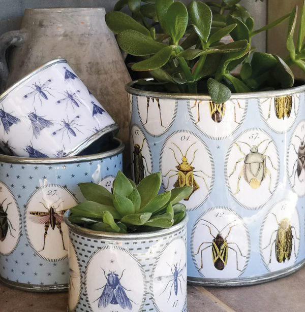 Bugstasia Tin Planter Set - Grey/Blue