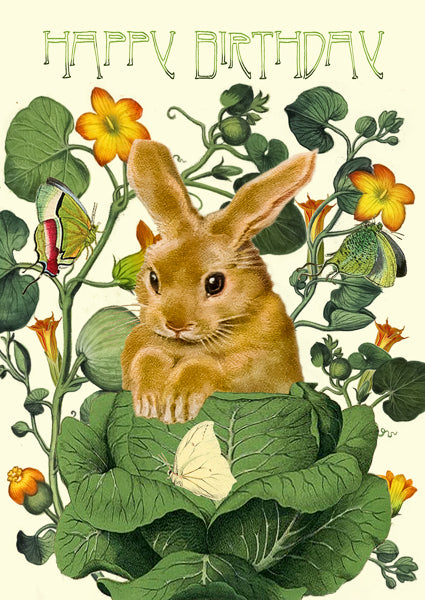 Happy Birthday - The Cabbage