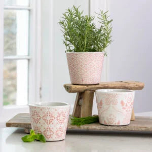 Old Style Dutch Pots Rose Pink