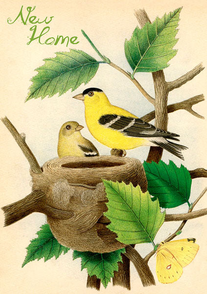 A New Nest - Greeting Card