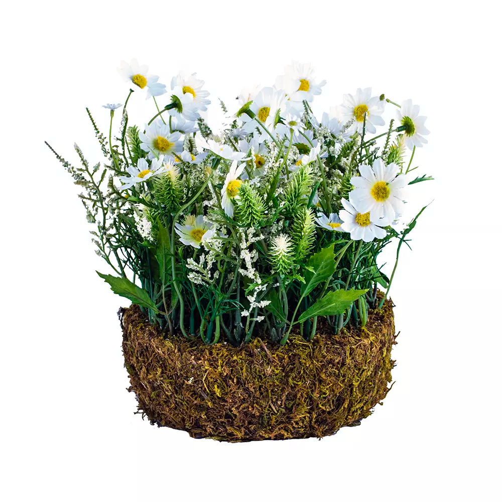 White Wildflowers on Oasis