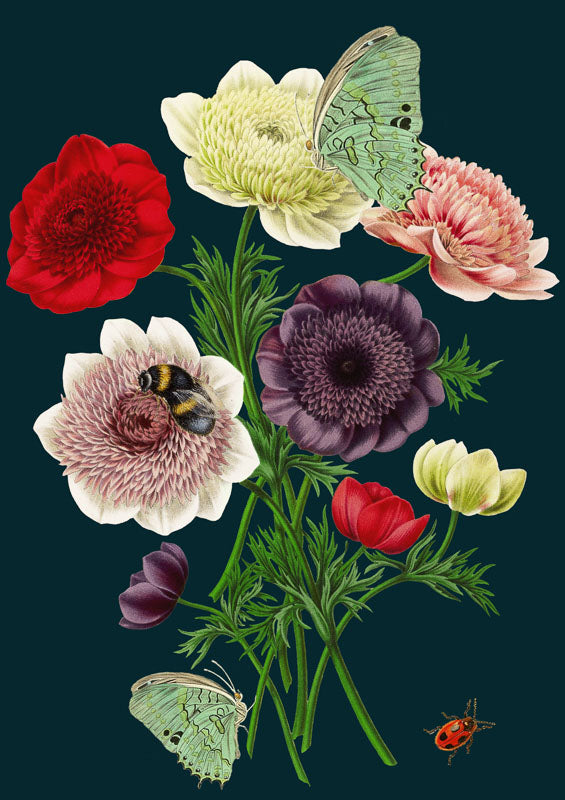 Greeting Card - Anemones