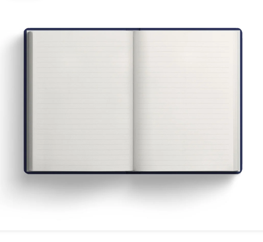 Blue Stripe Floral Hardback Notebook (A5)