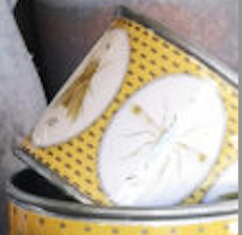 Tin Planters - Bugtasia - Dijon