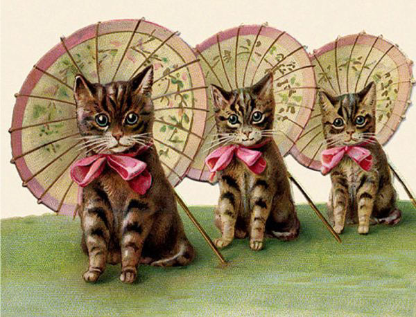 Three Kittens - Greeting Card