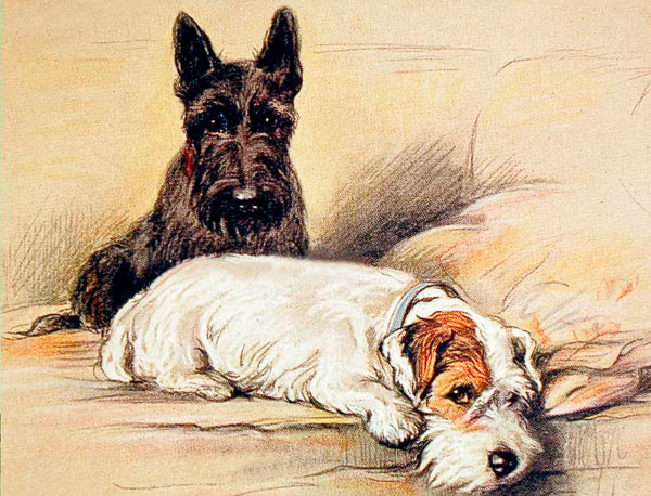 On the Sofa - Greeting Card