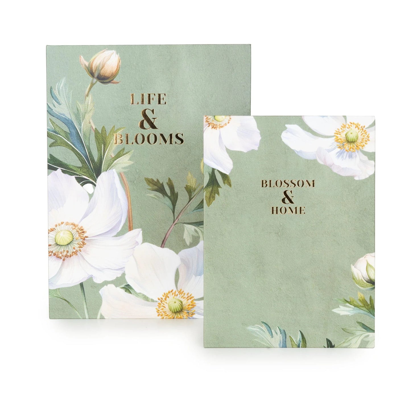 Set of 2 Storage Boxes - White Poppy