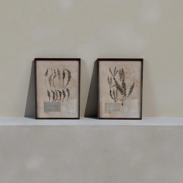 Aged Foliage Art (B)