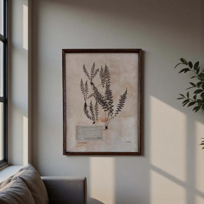 Aged Foliage Art (A)