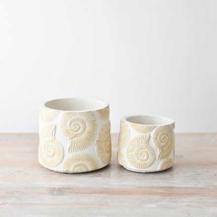 Ammonite Plant Pot - Large