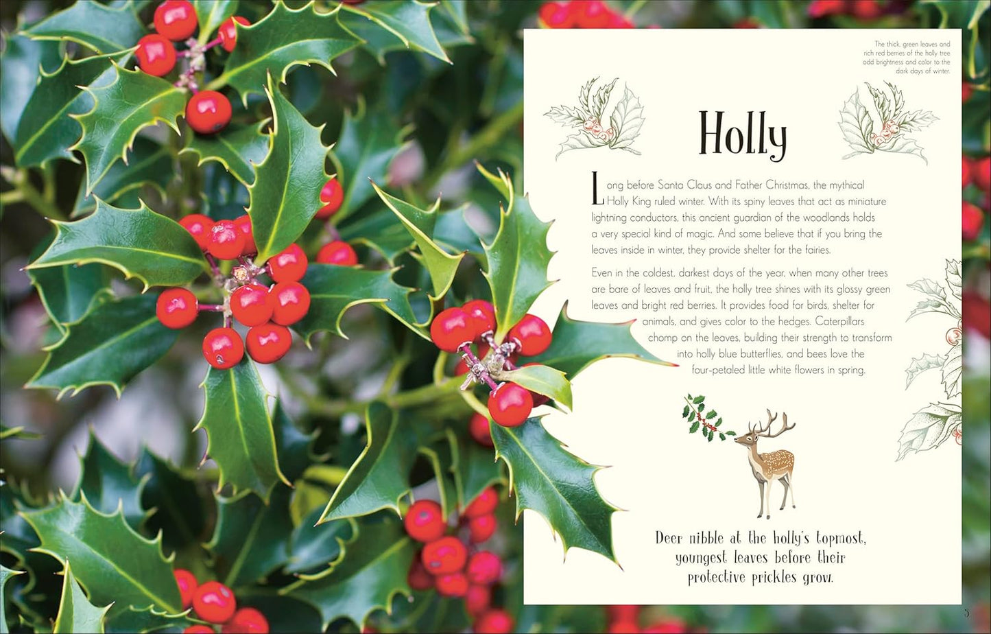 Anthology of Christmas (HB)