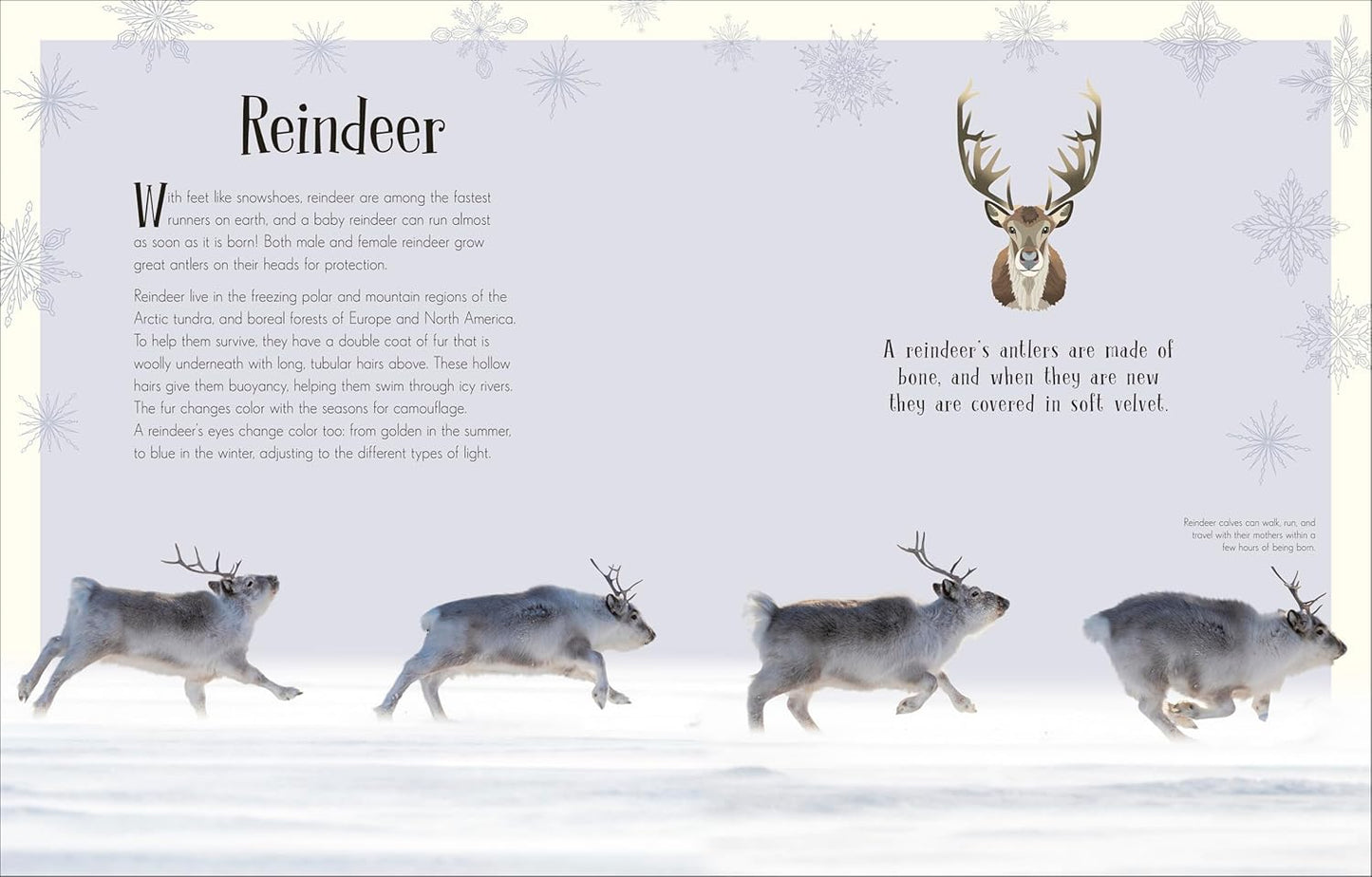 Anthology of Christmas (HB)