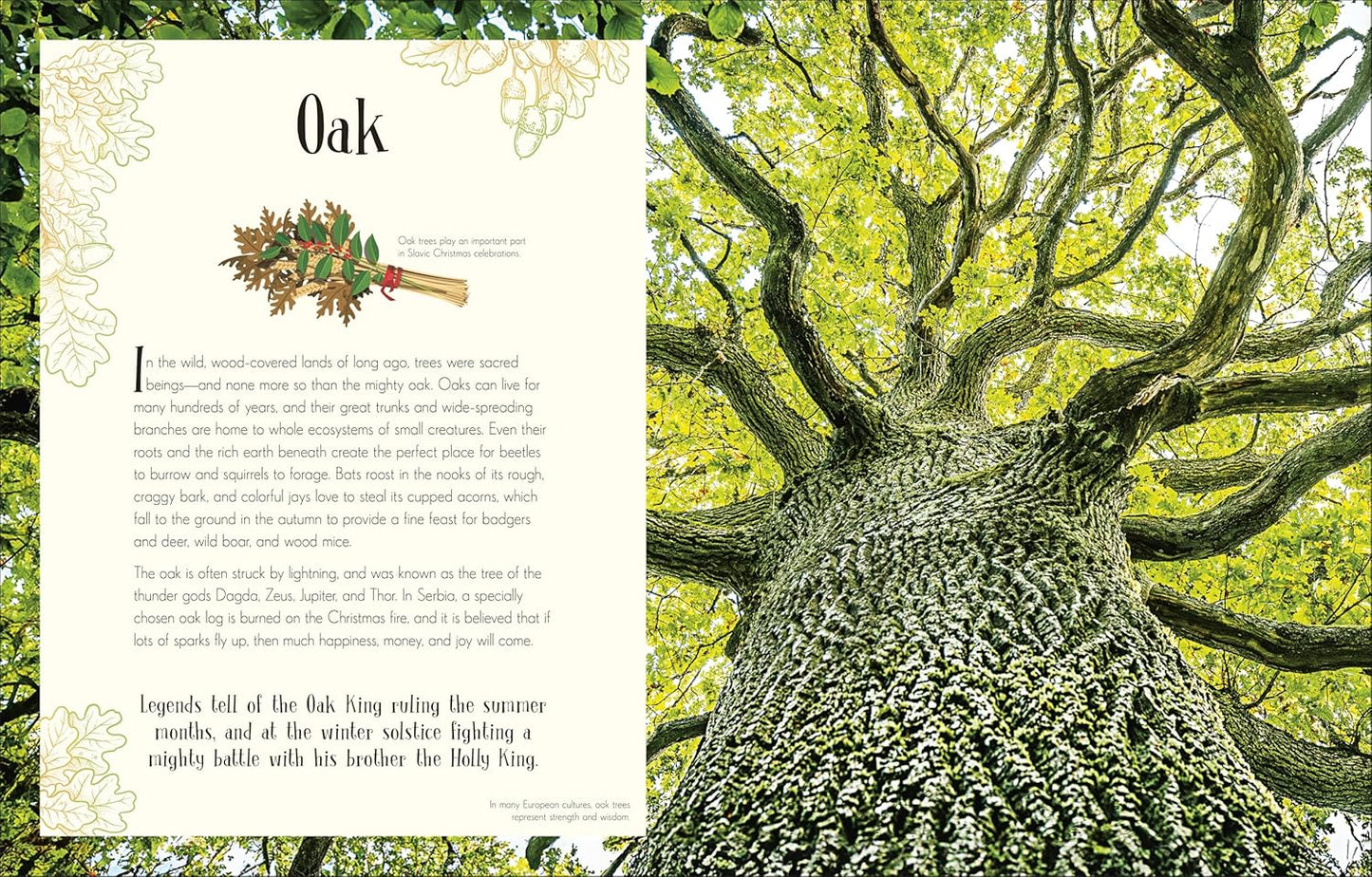 Anthology of Christmas (HB)