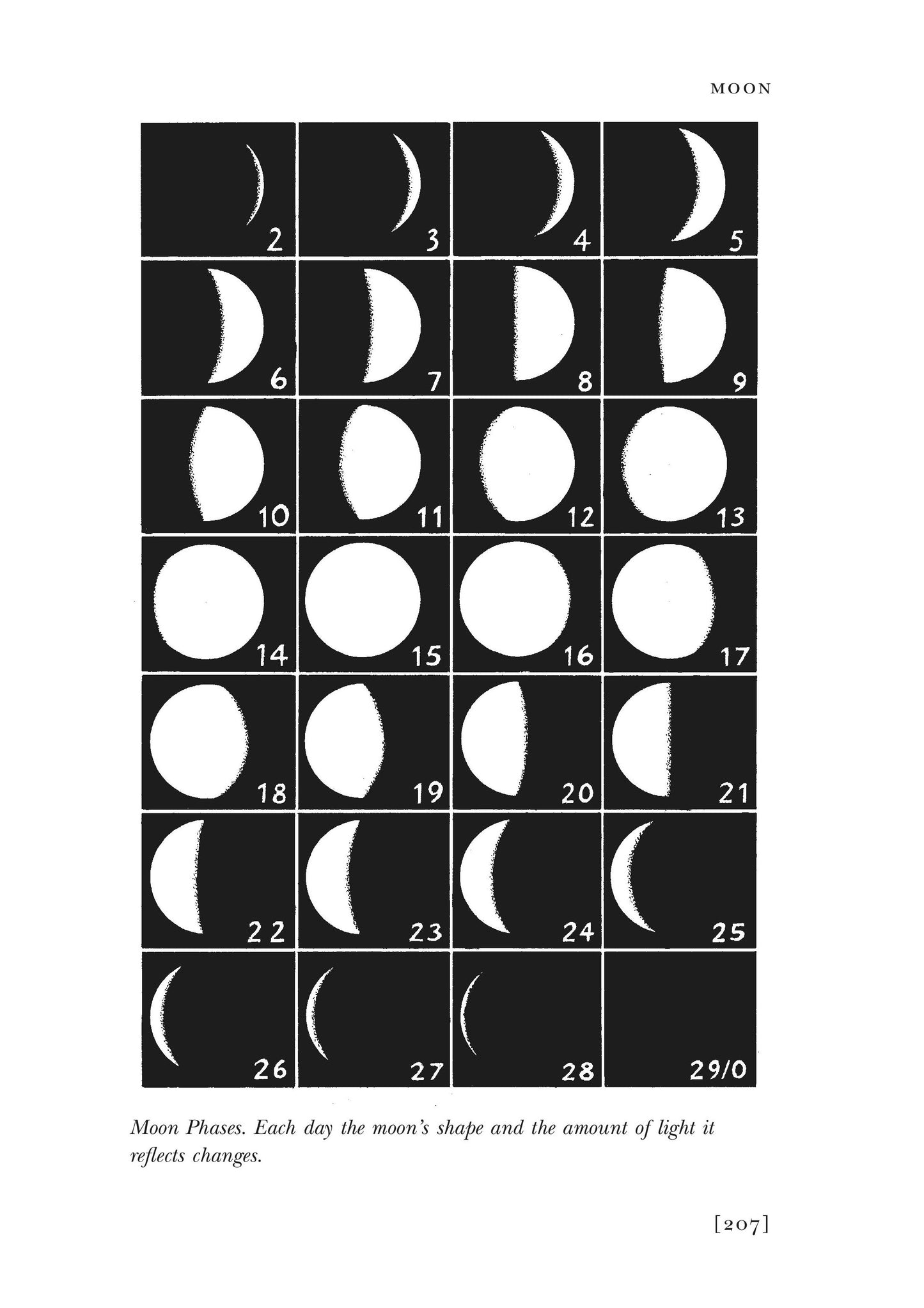 Walkers Guide To Outdoor Clues & Signs