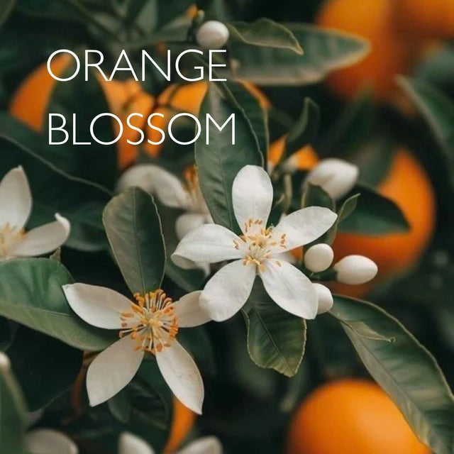 AAA Orange Blossom Bath/Shower Gel