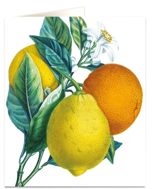 Greetings Card, Oranges & Lemons