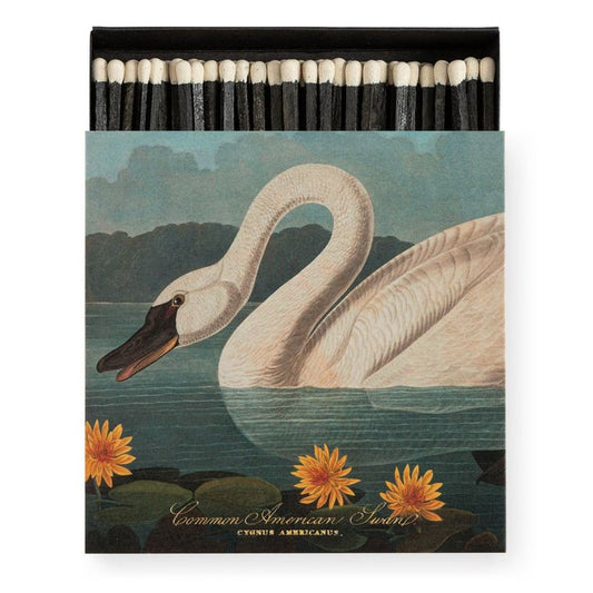 Box of Matches - The Common American Swan by Audubon