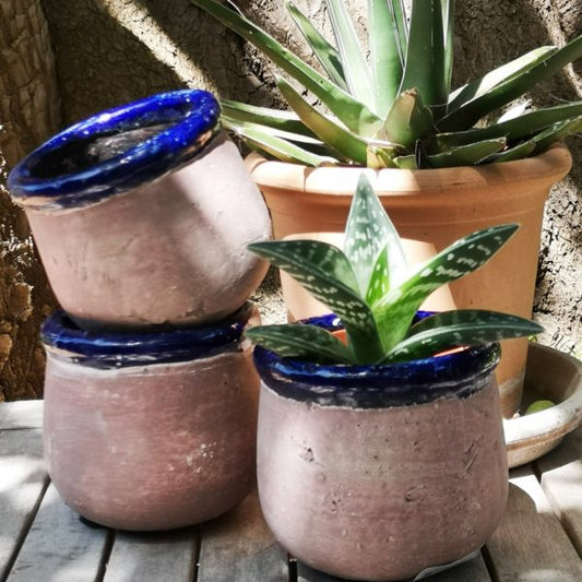 Plant Pot Rustico - Azul