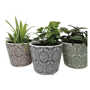 Plant Pot Delphi (Large) - Assorted Colours