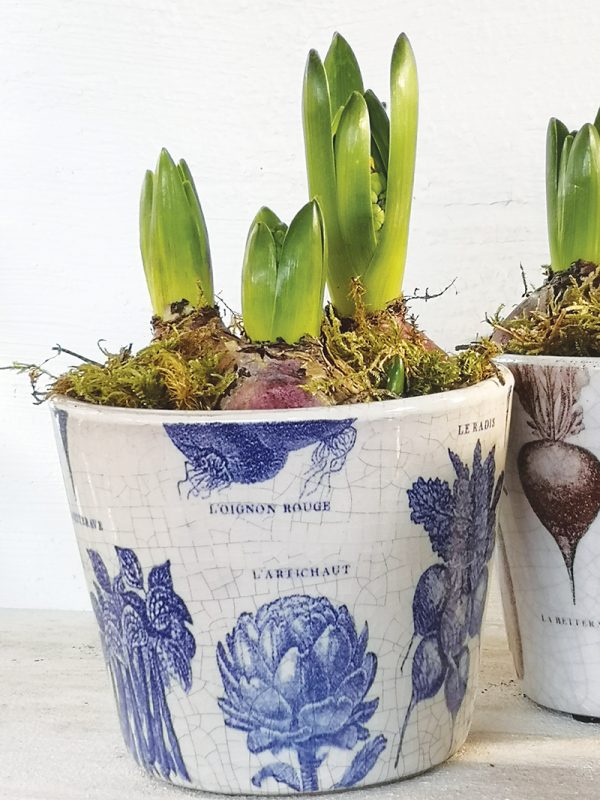 Potager Plant Pot