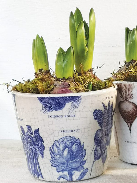 Potager Plant Pot