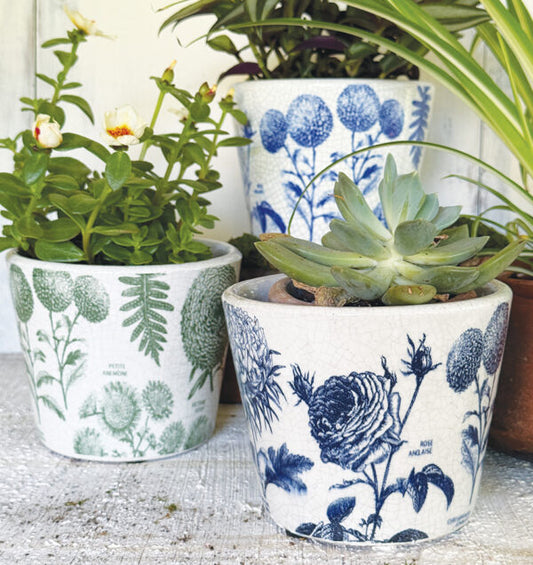 Jardin Plant Pot