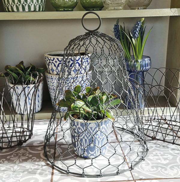 Garden Cloche