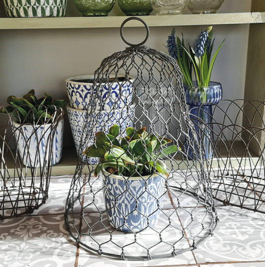 Garden Cloche