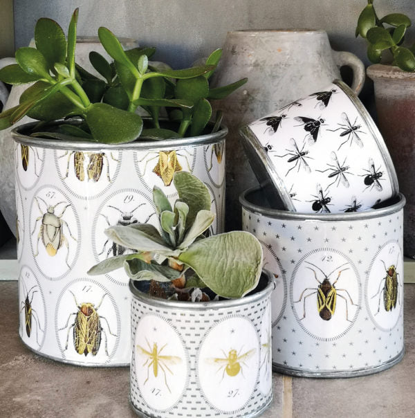 Bugstasia Tin Planter Set - Taupe