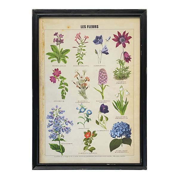 Les Fleurs Framed Print