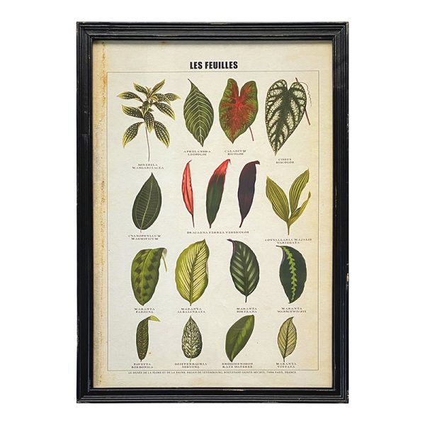 Les Feuilles Framed Print