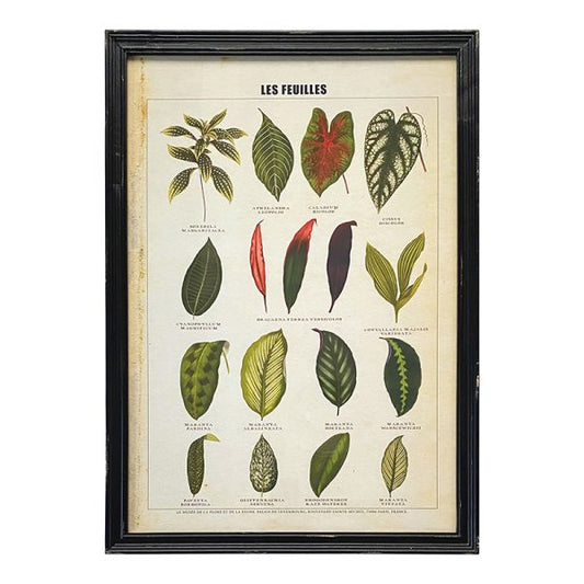 Les Feuilles Framed Print