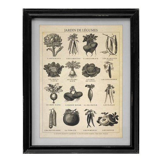 Jardin Des Legumes - Framed Vintage Print