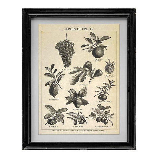 Jardin De Fruits - Framed Vintage Print