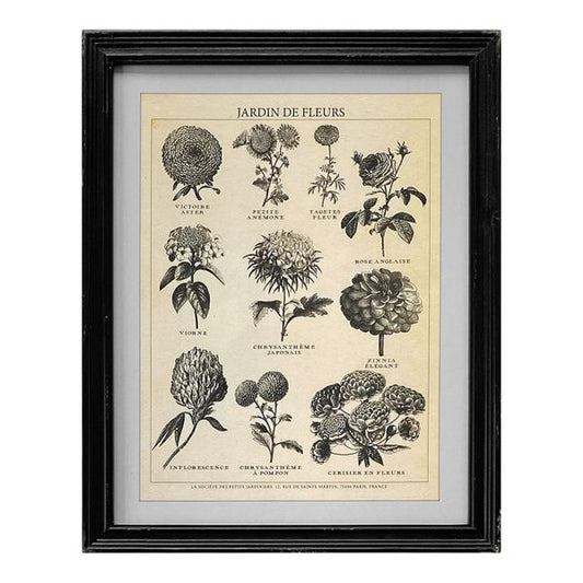 Jardin Des Fleurs - Framed Vintage Print