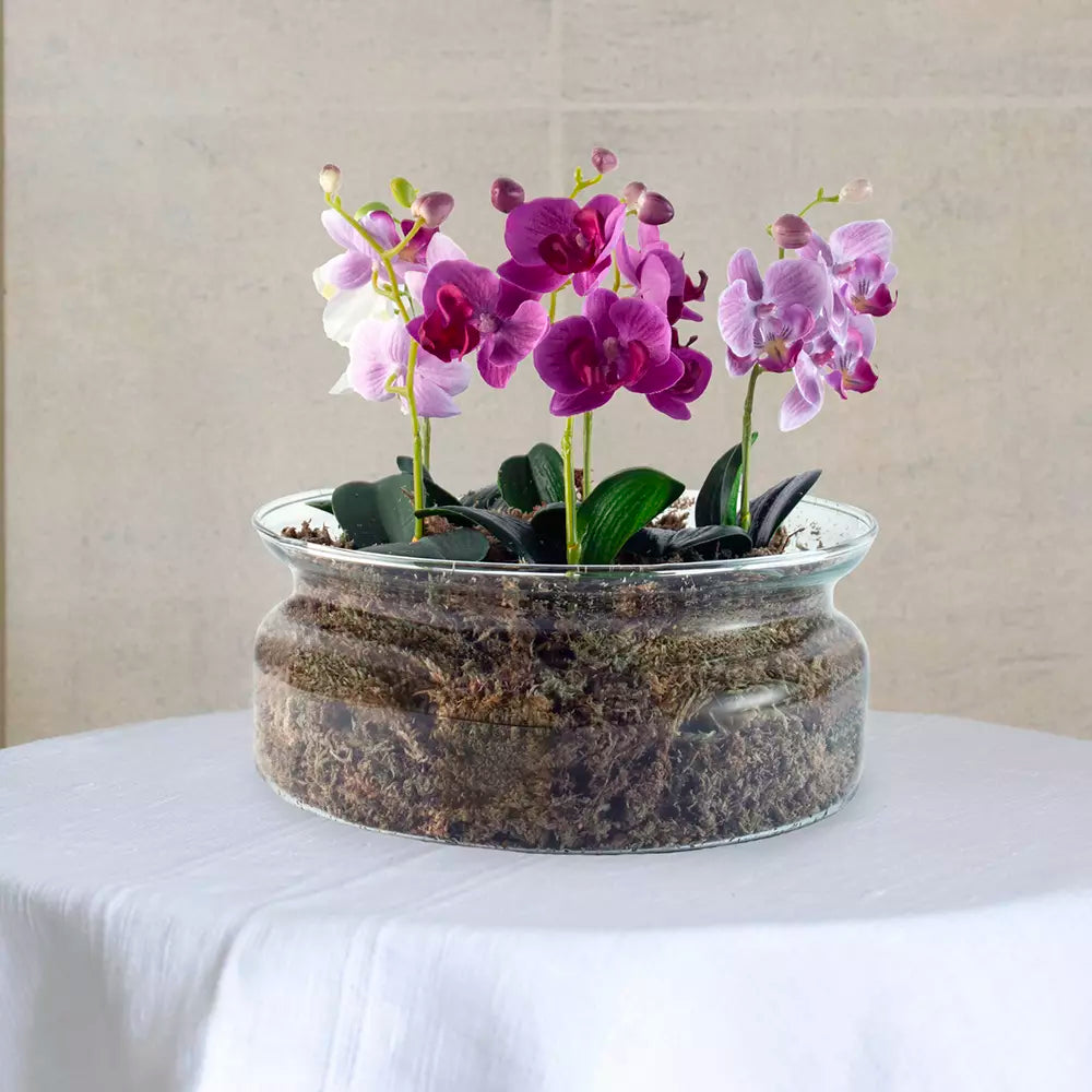 Botanical Glass Planter
