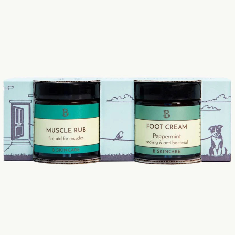 B Dog Walking Gift Box