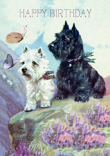 Two Scotties