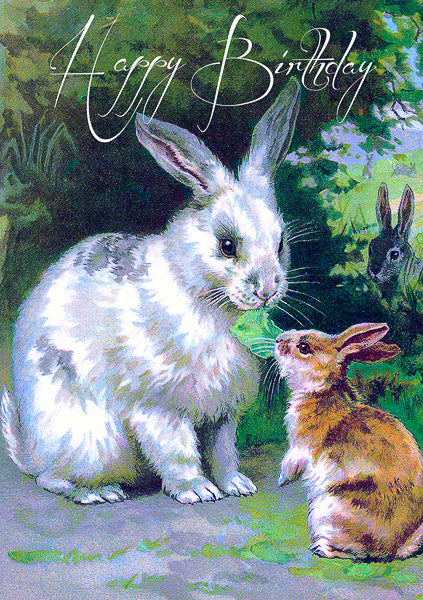 Happy Birthday - In The Field