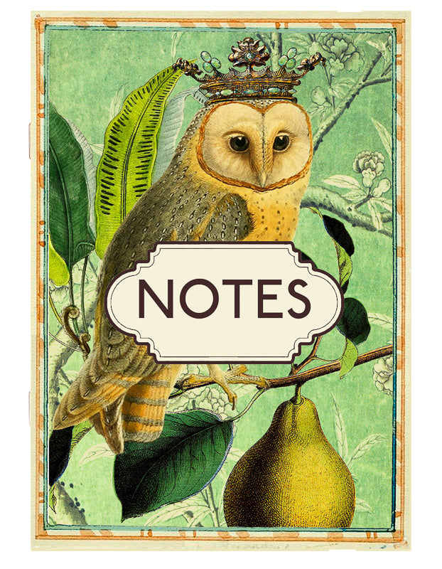 Notebook - The Owl & The Pear