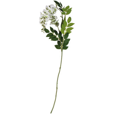 Wisteria Stem - Off White