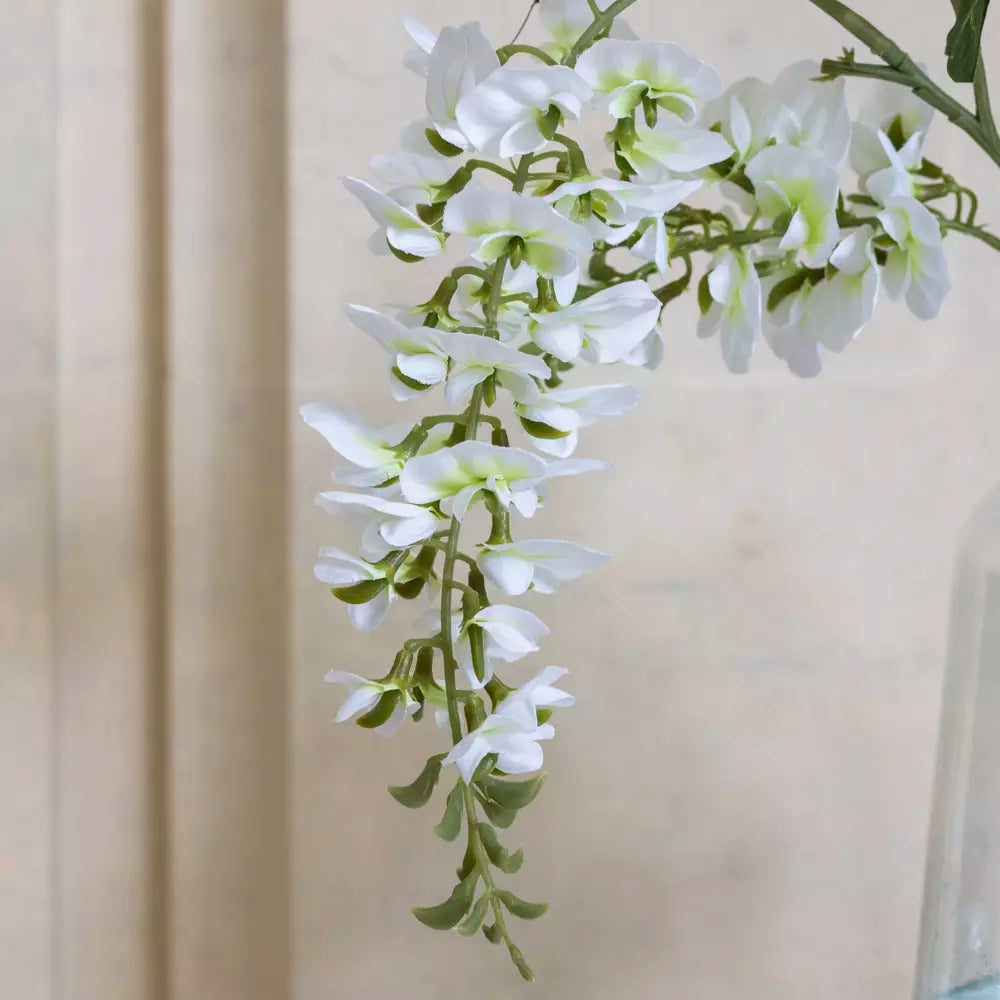 Wisteria Stem - Off White