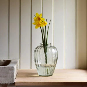 Daffodil Stem