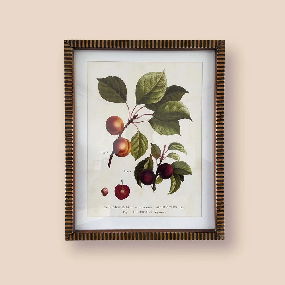 Fruity Wall Art - Plum