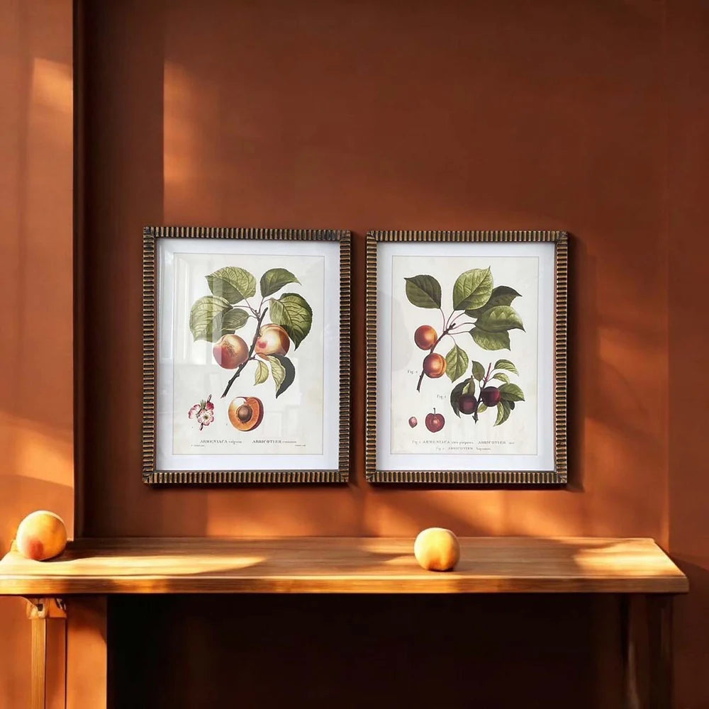 Fruity Wall Art - Apricots