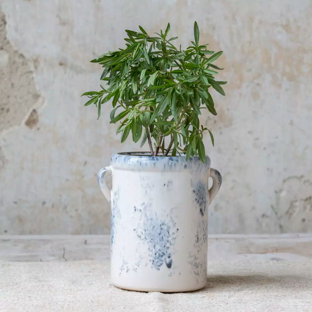 Cassis Stoneware Jar