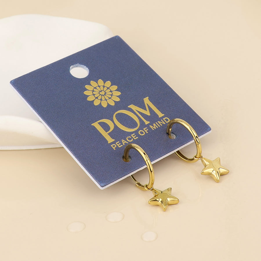 (156) Starlet, Star Charm Earrings